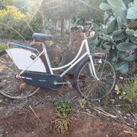 Bici donna / uomo