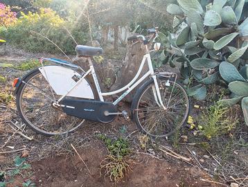 Bici donna / uomo
