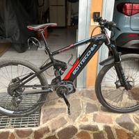 ebike per cambio  tipologia