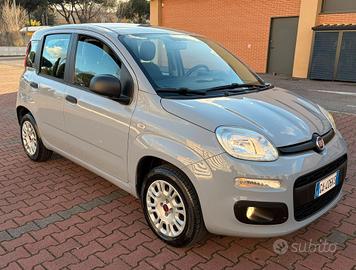 FIAT PANDA EASY 1.2cc 5 POSTI