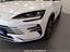 Immagine 8