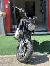 lem-brutus-110