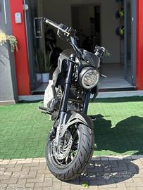 Lem brutus 110