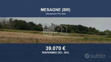 Immobile in asta di 45261 m² a Mesagne