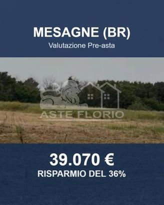 Immobile in asta di 45261 m² a Mesagne