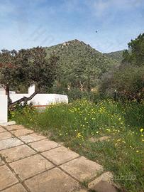 Zona Torre delle Stelle: terreno di circa 35.000mq