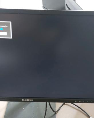 monitor SAMSUNG s24c450m