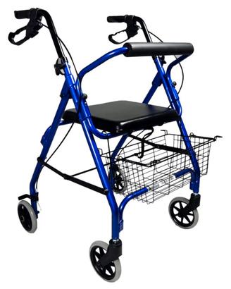 Carrello disabili