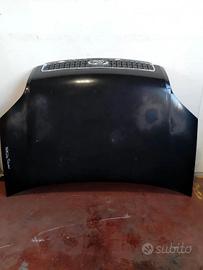 Cofano anteriore Ford Fusion (2002 -