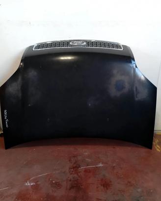 Cofano anteriore Ford Fusion (2002 -