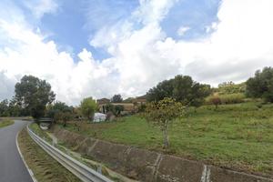 Splendido Terreno 75.000 mq + Fabbricati - Cilento