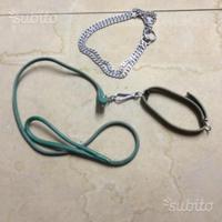 Guinzaglio e collari cane piccola taglia