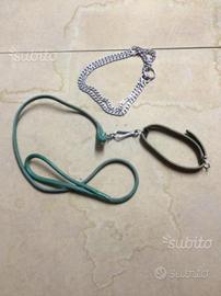 Guinzaglio e collari cane piccola taglia