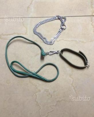 Guinzaglio e collari cane piccola taglia