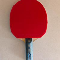 Racchetta da tennistavolo devastante!!
