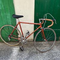 Bicicletta vintage Eroica