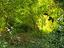 Immagine 21