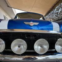 staffa fari fendinebbia mini