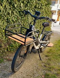 Bicicletta multifunz. cargo a pedalata assistita