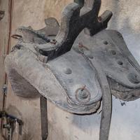 selle antiche per asino