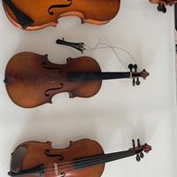 Violini monzino