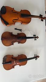 Violini monzino