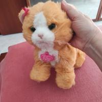 Daisy gattina interattiva 