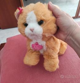 Daisy gattina interattiva 