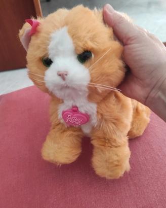 Daisy gattina interattiva 