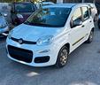 fiat-panda-1-2-69cv-young