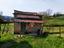 Immagine 14