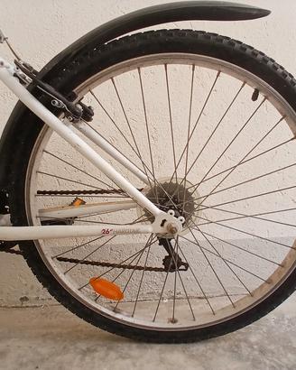 Bicicletta ragazzo