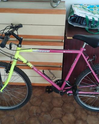 Bicicletta mtb 26"