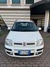 fiat-panda-1-2-dynamic