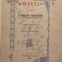 antico libro prima edizione 1898 foglie morte