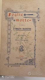 antico libro prima edizione 1898 foglie morte