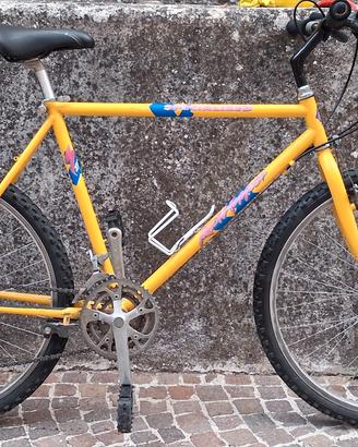 Specialized Rock Hopper mountain bike '90