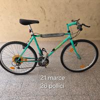 bicicletta 