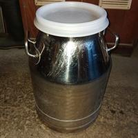 bidoni inox 30 litri 