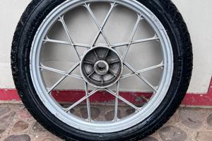 Cerchio grimeca razze incrociate