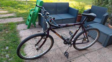 bici mountain bike 