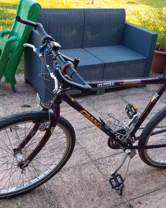 bici mountain bike 