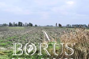 Terreno Agricolo - Castel Volturno