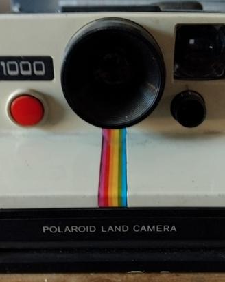 Poloroid 1000x
