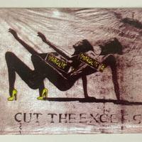 Biglietto flyer Diabolika discoteche anni 90