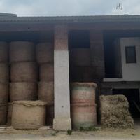 Balle di fieno di primo taglio