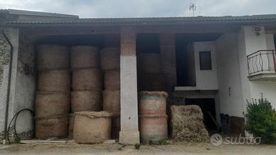 Balle di fieno di primo taglio