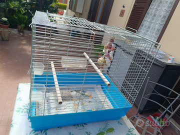 Gabbia uccellini calopsite o inseparabili