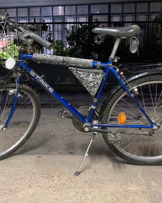 Bici - City bike Strike