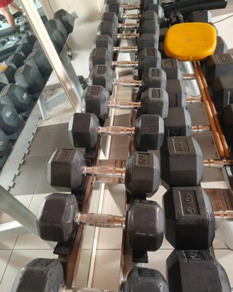 manubri esagonali 1-30 kg